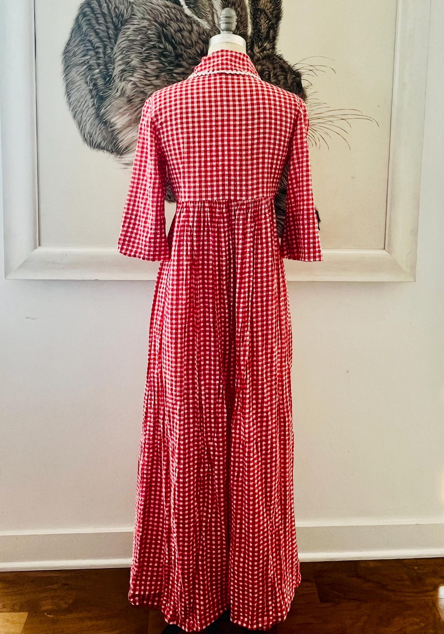 1970s Red Gingham & RicRac Dress